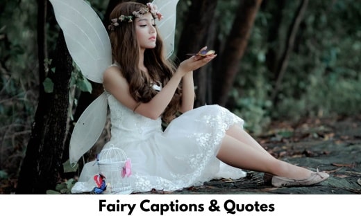 Fairy Captions & Quotes