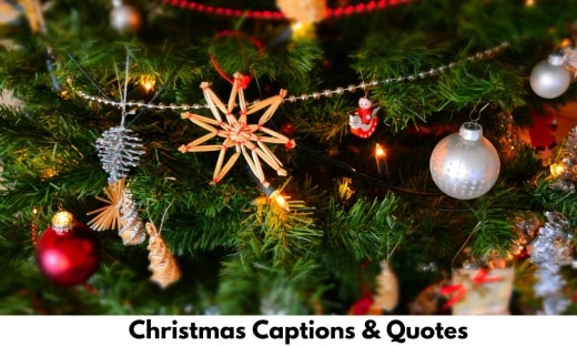 Christmas Captions & Quotes